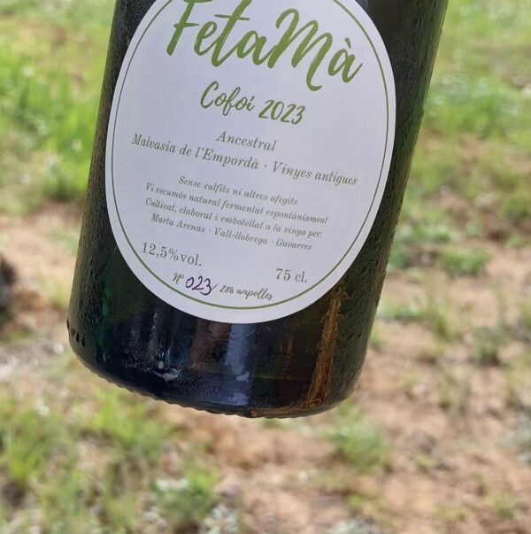 Cofoi 2023 · Fet a mà vins