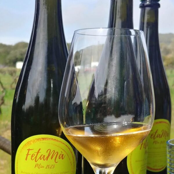 Vi fet a mà vins