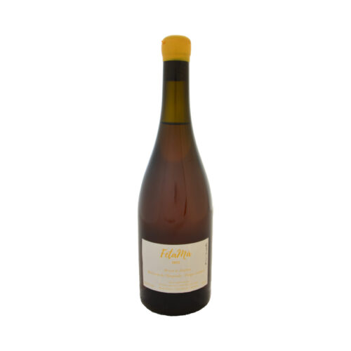 Vi Brisat - Fet a mà Vins