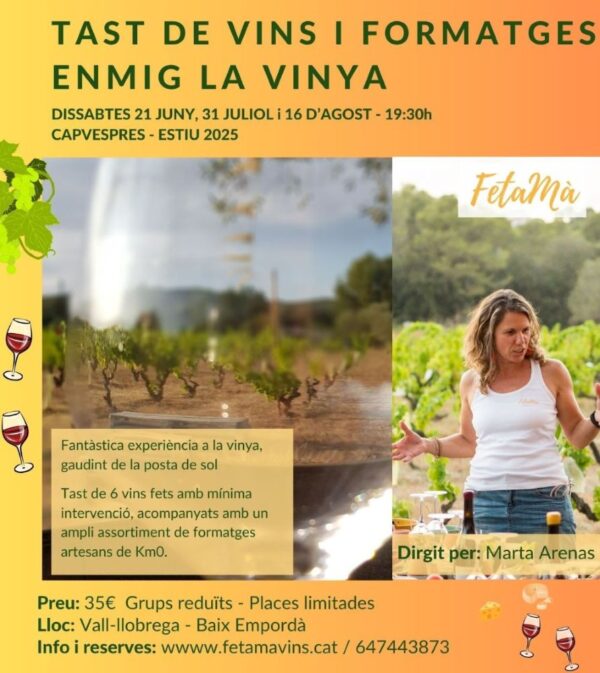 VINS i FORMATGES a la VINYA - ESTIU 2025 - 21/06/25
