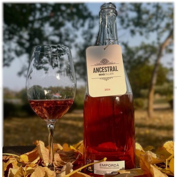 MasOller - Ancestral 2024